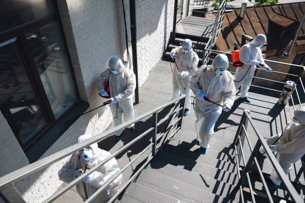 Best Mold Damage Restoration  in Towaco, NJ
