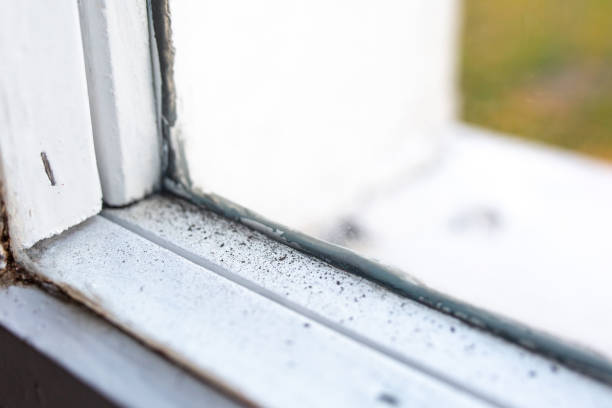 Best Forensic Mold Investigation  in Towaco, NJ